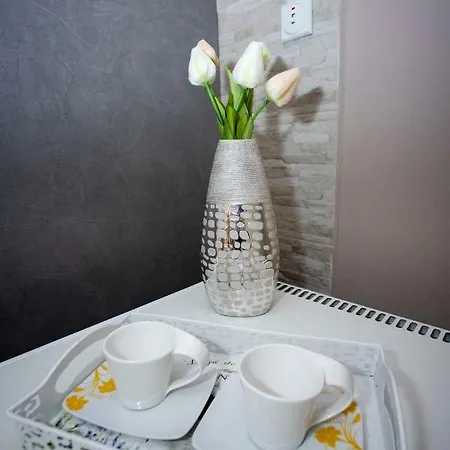 Venus Apartment